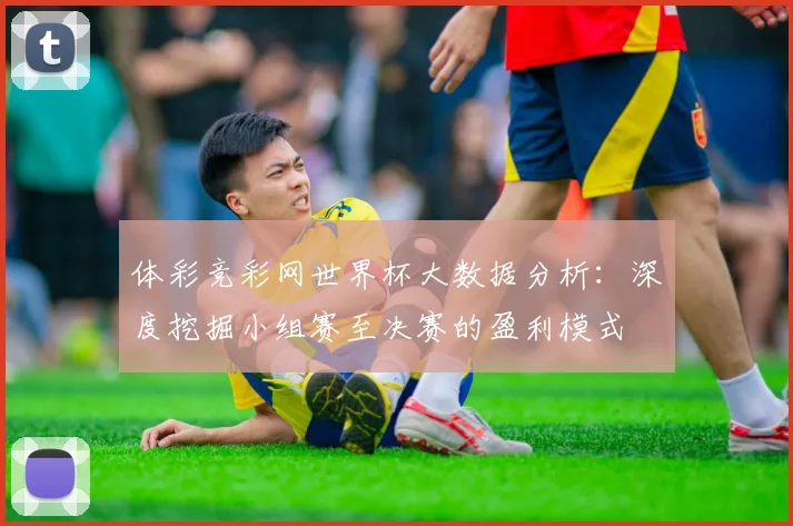 体彩竞彩网世界杯大数据分析:深度挖掘小组赛至决赛的盈利模式