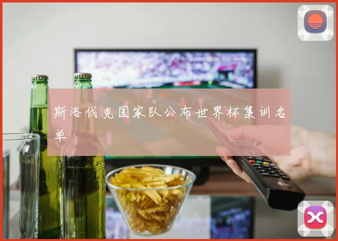斯洛伐克国家队公布世界杯集训名单