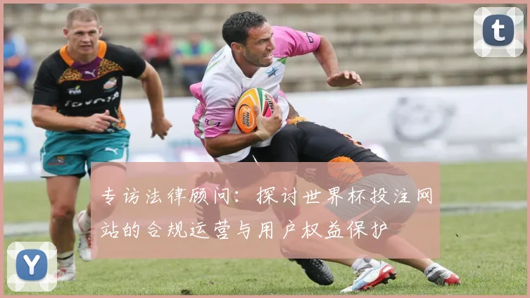 专访法律顾问:探讨世界杯投注网站的合规运营与用户权益保护