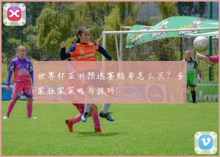 世界杯亚洲预选赛赔率怎么买?专家独家策略与技巧