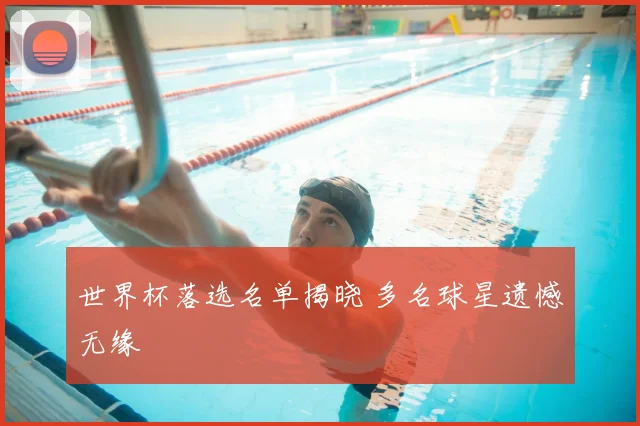 世界杯落选名单揭晓 多名球星遗憾无缘