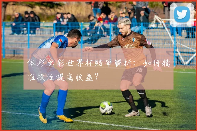 体彩竞彩世界杯赔率解析:如何精准投注提高收益?