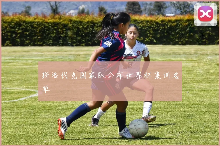 斯洛伐克国家队公布世界杯集训名单