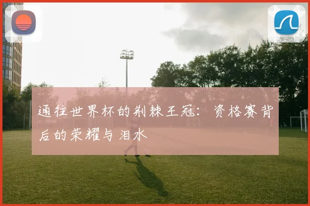 通往世界杯的荆棘王冠:资格赛背后的荣耀与泪水