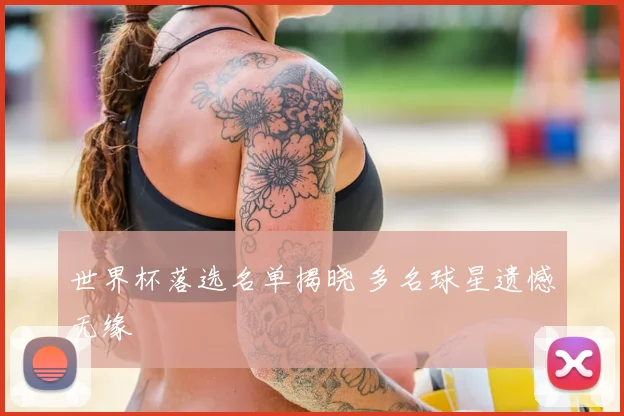 世界杯落选名单揭晓 多名球星遗憾无缘