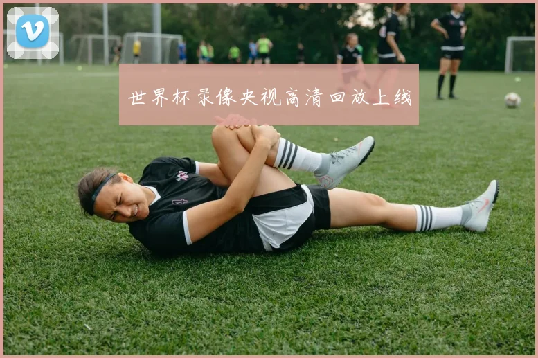 世界杯录像央视高清回放上线