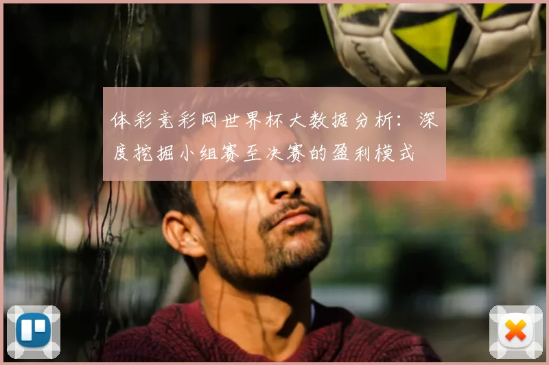体彩竞彩网世界杯大数据分析：深度挖掘小组赛至决赛的盈利模式